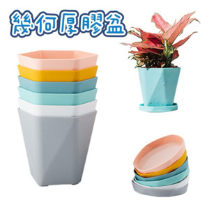 ［臺灣現貨］花盆 盆栽 植物花盆 盆器 鹿角蕨 觀葉植物 園藝花盆 植物盆栽 裝飾花盆 造型花盆 顏色花盆（含底盤）