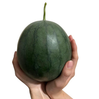 驚艷送禮物🎁精緻馬卡龍溫室迷你西瓜🍉全臺宅配免運費