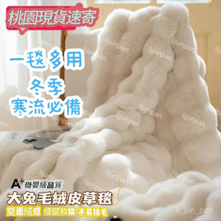 臺灣出貨！新款冬季兔絨毛毯加絨加厚珊瑚絨毯子鋪床辦公室午睡毯牛奶絨床單 純色沙發毯 法蘭絨毛毯子 加厚秋冬小毛毯 薄毛毯