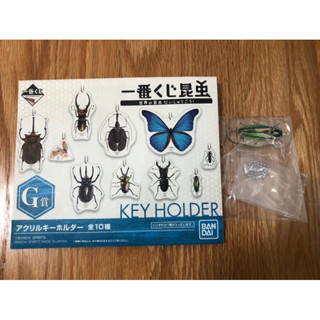 ( G賞 兜蟲 單賣) key holder 吊飾鑰匙圈 一番賞 昆蟲 世界的昆蟲大集合 昆蟲世界的昆蟲博物館