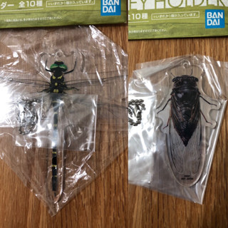 ( G賞 蜻蜓 蟬 2款一起賣) key holder 吊飾 一番賞 昆蟲 LIFE with INSECT昆蟲博物館