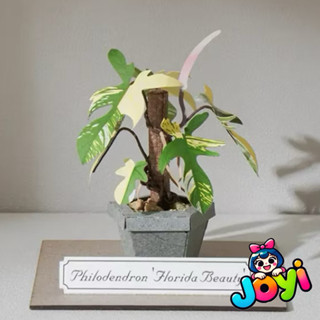 ⭐正版⭐現貨⭐紙模型 紙植栽DIY材料包 斑葉龍爪蔓綠絨 9028424 紙風景 手作 擺飾 紙模型紙雕 裝飾 DIY