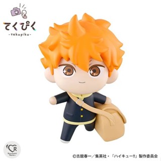 萬代 tekupiku 排球少年 日向翔陽 PVC完成品 豬帽子模型玩具