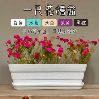 現貨~緗碎石(500g、1kg)黃碎石 黃色 天然石頭 多肉介質 鋪面裝飾 裝飾石 水族 多肉植物鋪面 景觀 園藝 盆栽