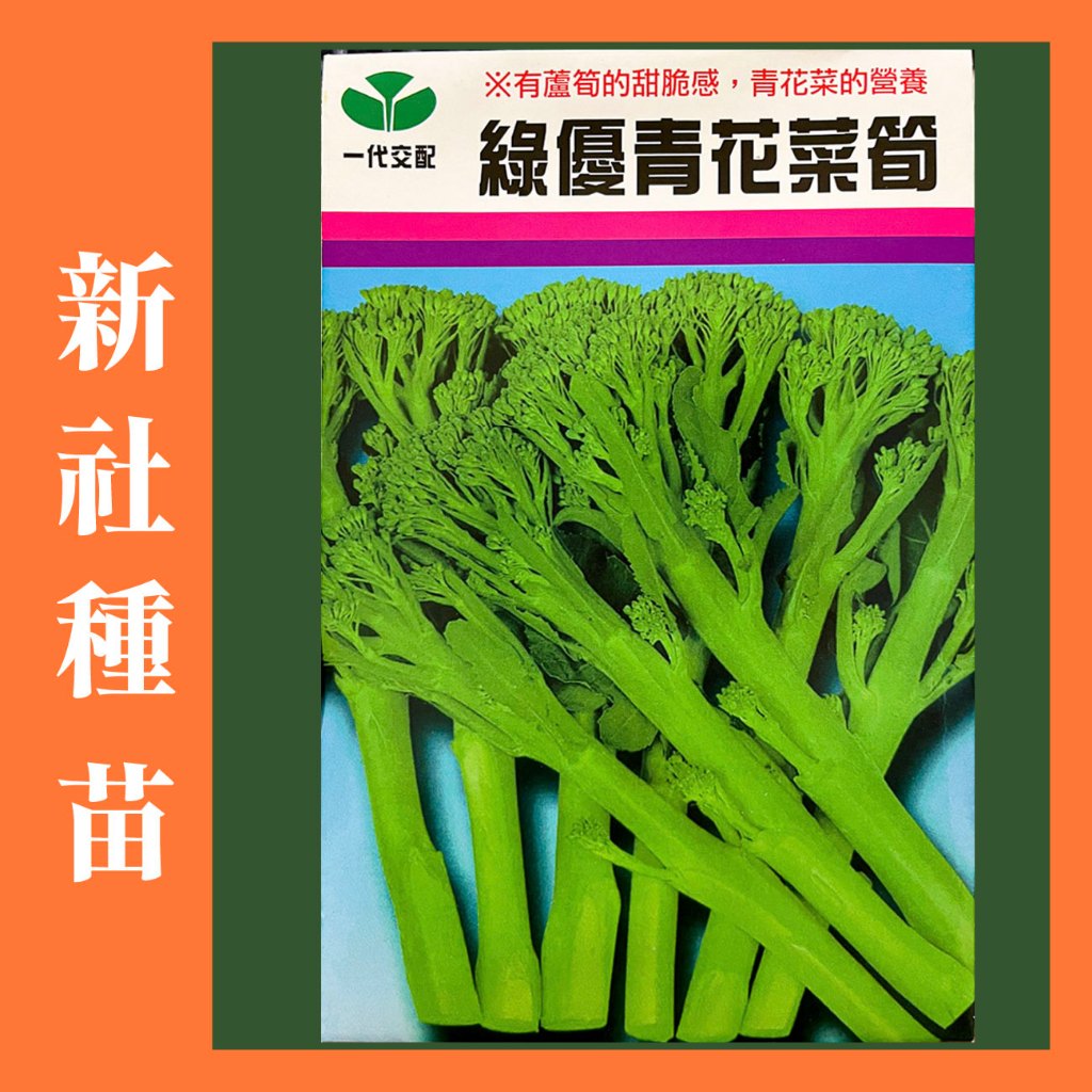 一化交配 綠優青花菜筍種子｜60~80天可採收｜開心農場｜日常好菜｜居家種植｜蔬菜專業戶｜蔬菜種子｜園藝 ｜