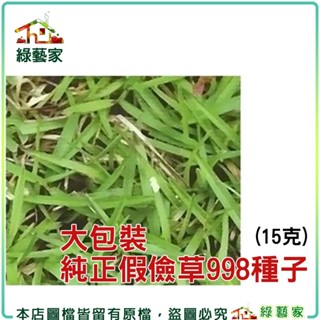 【綠藝家】大包裝純正假儉草998種子15克 //美國進口.純度99%以上高品質草皮種子