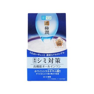 ROHTO 肌研~極潤高機能多效凝露(100g) D128051