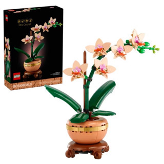 ❗️超人強❗️樂高LEGO 10343 花藝系列 蘭花 迷你蘭花 Mini Orchid