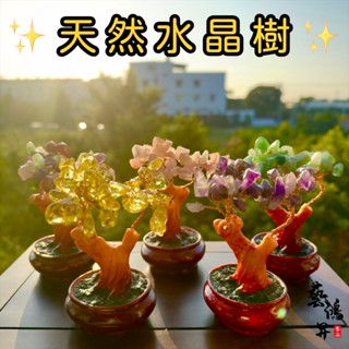 『藝鴻昇藝品』🔥紫南宮過爐🔥 水晶樹 發財樹 招財樹 開運樹 天然水晶 消磁水晶 水晶碎石 紫水晶 黃水晶 -現貨