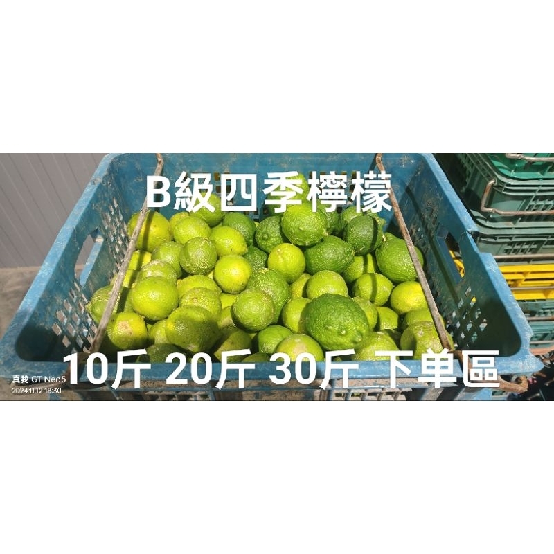 四季有籽檸檬，TGAP產銷履歷四季檸檬, ABC級、九如檸檬、奶茶店檸檬，批發量販下单區，十斤、二十斤、三十斤下单區