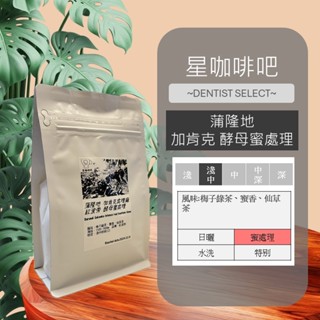 咖啡豆 黑咖啡 單品咖啡 精品咖啡 手沖咖啡 蒲隆地咖啡 蜜處理 星咖啡吧 自家烘焙 半磅