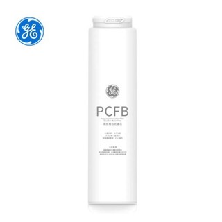GE 奇異 極煦第一道PCFB濾芯