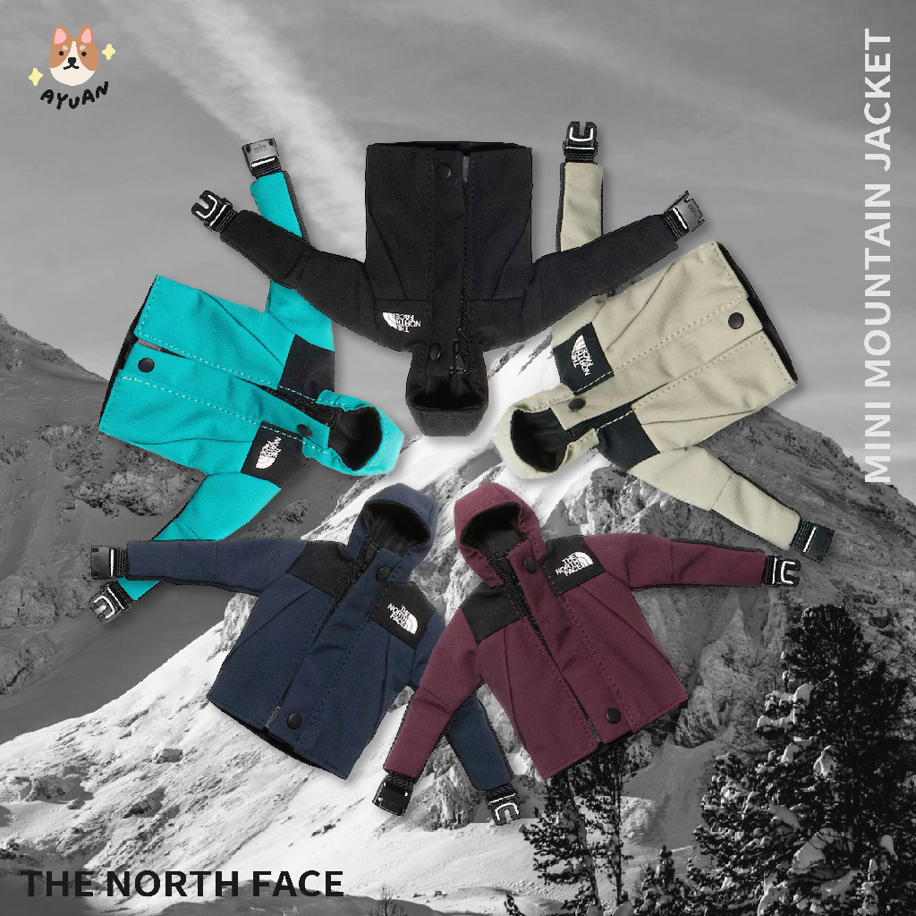 『 AYuan_Select 』THE NORTH FACE NP61800縮小版 日線鑰匙圈 NN32452