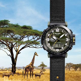 【CASIO 卡西歐】PROTREK 戶外 太陽能電力 三重感應器 環保材質設計 PRG-601YB-3 51.mm