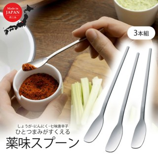 **現貨**日本製 下村企販 燕三條 18-8不鏽鋼調味料專用小湯匙3入/組