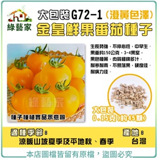 【綠藝家】大包裝G72-1.金皇鮮果番茄種子(澄黃色澤) 0.15克(約45顆) // 黃番茄，果重約15克