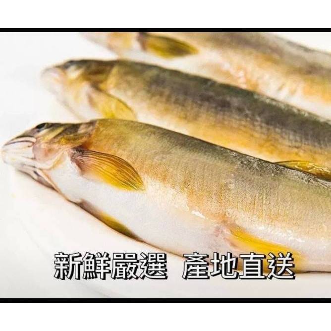 【極海鮮八號鋪】台灣宜蘭公香魚/單尾1袋/1盒7尾/920g_用烤的或是用炸的都很好吃唷