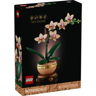 【臺中翔智積木】LEGO 樂高 Icons系列 10343 迷你蘭花