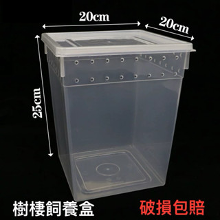 木知木蕨-樹棲爬蟲飼養箱「大號樹棲爬蟲飼養箱」蜘蛛蠍子蜥蜴烏龜蛙守宮巨人蓋勾亞睫角