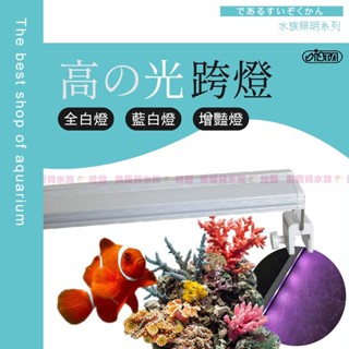 魚寶貝👨‍⚕ISTA〝高之光跨燈〞全白燈/藍白燈/增豔燈〞 ●一線品牌（水草燈、魚缸跨燈、魚缸LED燈、水族燈、LED燈