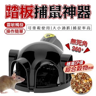 捕鼠器 大小通抓 重複使用 附誘餌 適用中小型老鼠 捕鼠籠 捕鼠神器 黏鼠板 老鼠 捕鼠 補鼠 補鼠器 鼠