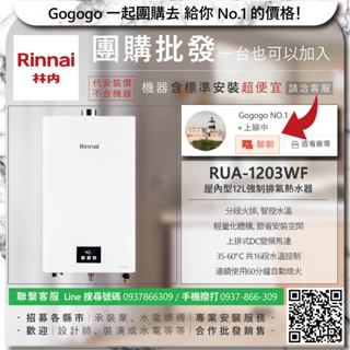 《清倉大拍賣．禮卷大方送》林內 RUA-1203WF 屋內型12L強制排氣熱水器【僅標準安裝費】