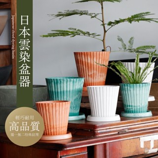 0123 studio | 日本熱銷 樹脂雲染花盆 直紋 空運現貨 花盆 盆器 塑膠盆 園藝 觀葉植物 多肉植物 龜背芋