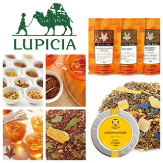 😻三花喵【預購到6/6，6月底出貨】LUPICIA(綠碧) 南非國寶茶/博士茶ROOIBOS/花草茶，無咖啡因