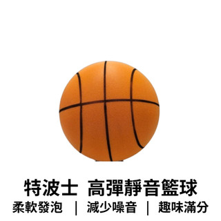 【GO 2 運動】現貨 特波士 TROPS 高彈靜音 籃球 兒童籃球 PU發泡球 海綿球 通過玩具安全檢驗 不含可塑劑