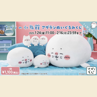 ⭐現貨🌸ナガノNagano 一番賞 一番くじ 海豹系列 抱枕 娃娃 吊飾⭐ 吉伊卡哇 ちいかわ chiikawa