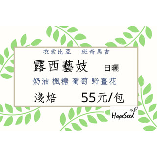 ＜希望種子咖啡＞衣索比亞 露西藝妓 日曬 G1(耳掛包，淺焙) 自家烘焙 精品咖啡
