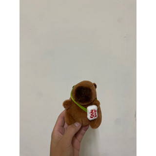 卡比巴拉水豚君絨毛玩偶玩具娃娃布偶 適合當枕頭、抱枕、裝飾、給小朋友玩。下單前請先聊聊謝謝