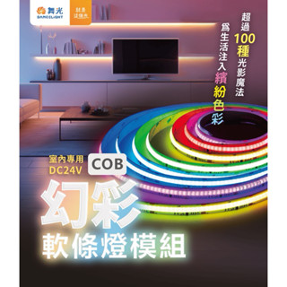 好時光~舞光 LED 幻彩COB軟條燈 附控制器、遙控器 DC24V 變化模式超過100種 光影魔法 軟條燈 變壓器另購