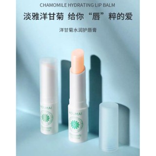 ［臺灣現貨］HOUMAI 潤唇膏 凡士林保濕潤唇膏 /洋幹菊 & 薄荷 #保濕補水唇部護理