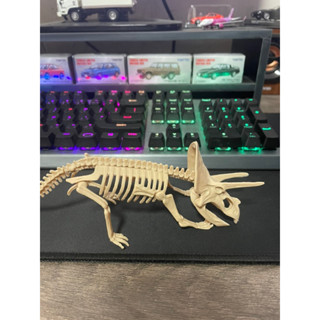 三角龍 骨骼 模型 玩具