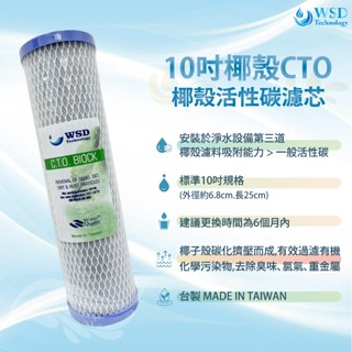 【WSD】10吋CTO椰殼壓縮活性碳濾心 臺灣製造 高品質
