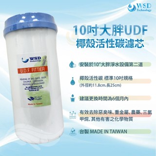 【WSD】10吋大胖UDF椰殼顆粒活性碳濾心 高品質 臺灣製造
