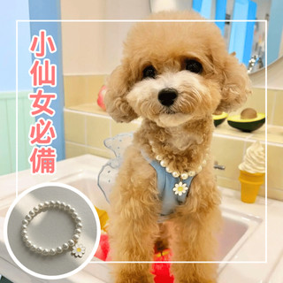 On&Wuff 🐶寵物正韓INS風項鍊🌼 雛菊珍珠項鍊 韓國寵物飾品 狗狗項鍊