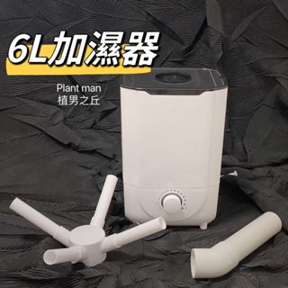 【植男之丘】6L 植物加濕器 觀葉 龜背芋 橘柄 蔓綠絨 獨角獸 鹿角蕨 爬蟲 陸龜 雨林植物 焦葉