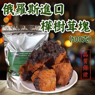 🔥現貨速出🔥俄羅斯進口樺樹茸塊【40年份特級】黑金顆粒 三高樺褐孔菌 白樺茸塊