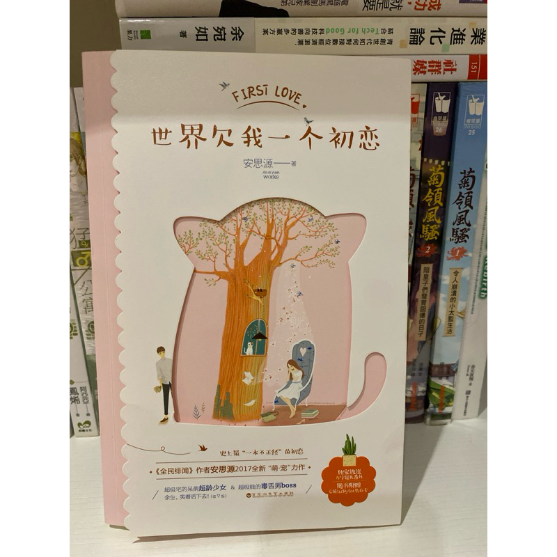 世界欠我一個初戀（簡體）安思源（白鹿電視劇原著小說）