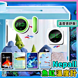 臺灣免運現貨【Nepall外貼式迷你溫度計🔥】(內含鋰電池) 大螢幕LED 迷你設計溫度計 測溫 魚缸溫度 水族溫度計