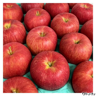 ［田園水果］日本青森蘋果禮盒（11入28size)🎁🎁🎁