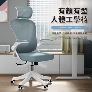 狄恩流線美學撐腰網布人體工學椅 電腦椅 辦公椅 會議椅【IDEA】