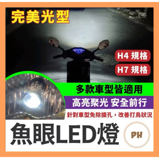 Force JET SL DRG 魚眼 LED燈 A8 L8 RTD魚眼 雷騰魚眼 機車魚眼 H4 H7