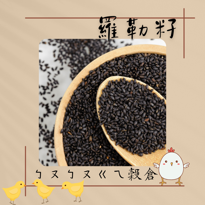 羅勒籽(明列子)的價格推薦 - 2025年1月 | 比價比個夠BigGo