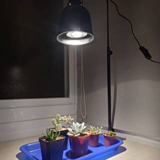 多種植物燈組合 育苗 多肉 觀葉 龜背芋 鹿角蕨 食蟲 植物生長燈 全光譜 植物補光燈 室內種植