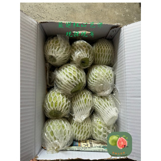 ｛產地直送｝溪州鄉紅心芭樂禮伴手禮（箱）🚛 紅心芭樂 ㄧ件7斤 蝦皮熱賣銷量破千斤