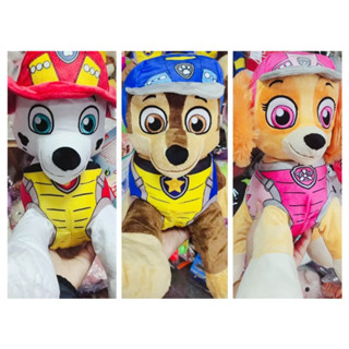 美國正版 全新現貨 汪汪隊 大隻45-50公分 阿奇 天天 毛毛 paw patrol 娃娃 兒童 玩具 毛絨玩偶