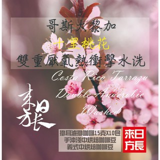哥斯大黎加.十里桃花.雙重厭氧熱衝擊水洗淺中烘焙(義式中烘焙)咖啡豆/掛耳濾掛/咖啡豆-來日方長咖啡烘焙